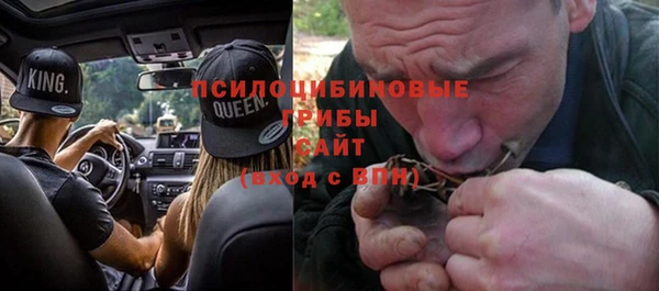СК Кукмор