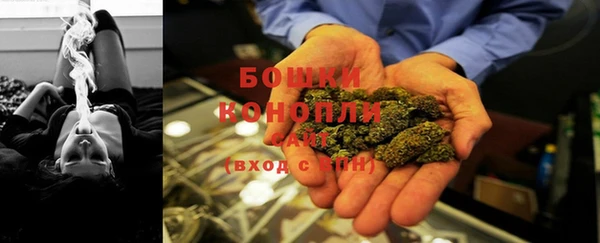 СК Кукмор