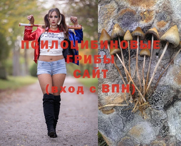 СК Кукмор