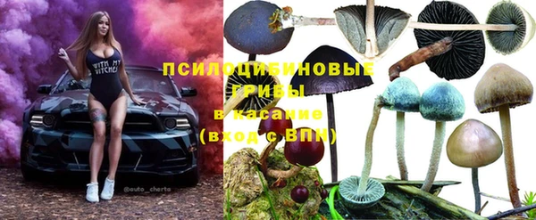 СК Кукмор
